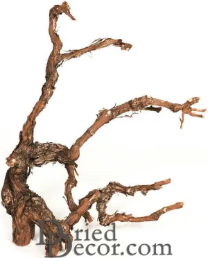 Grapewood Branches - Natural - Grape Wood