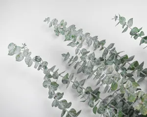 Preserved Eucalyptus Branches - Kiwi Green