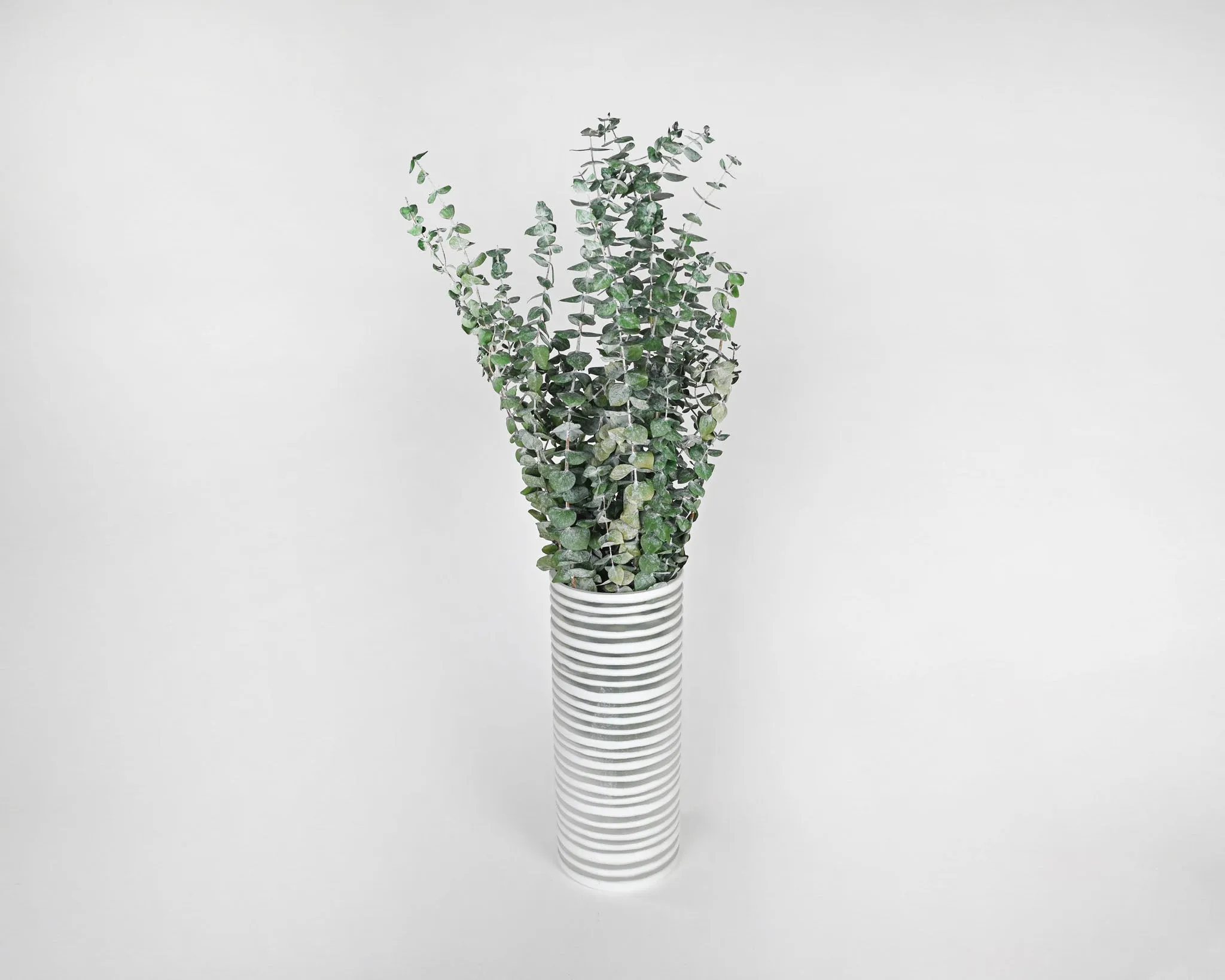 Preserved Eucalyptus Branches - Kiwi Green