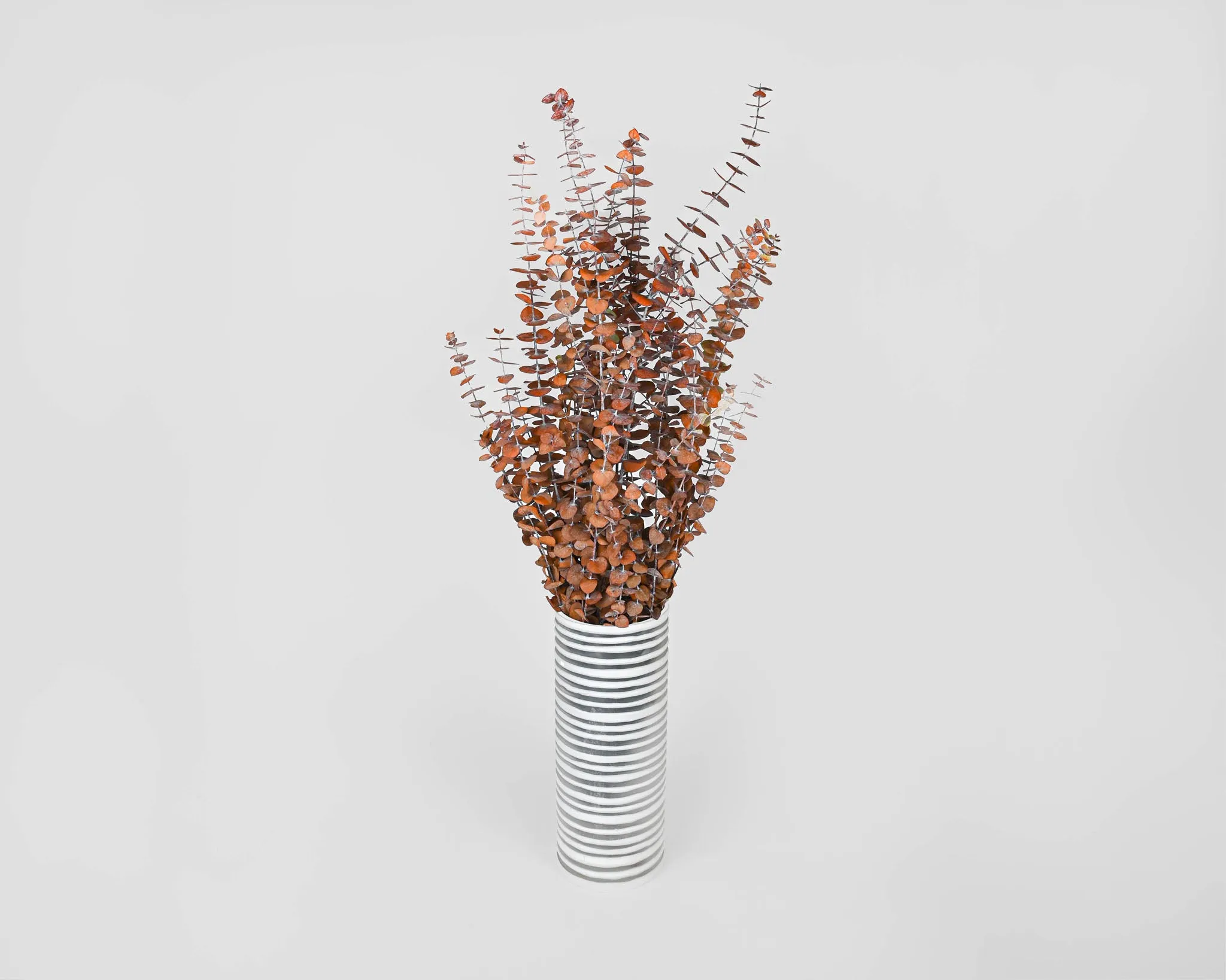 Preserved Eucalyptus Stems for sale - Harvest